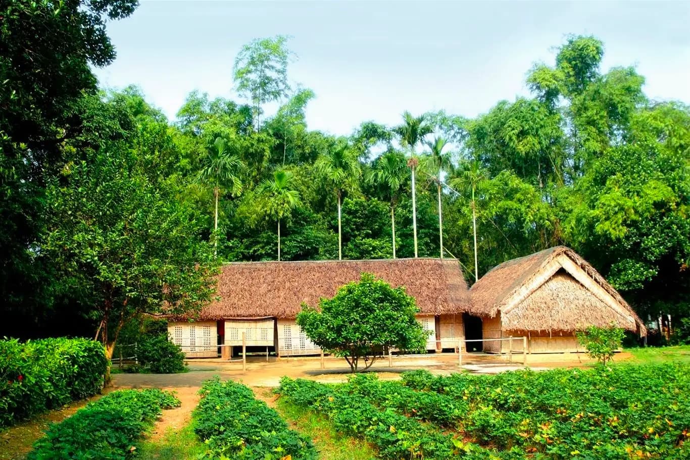 Tỉnh Nghệ An