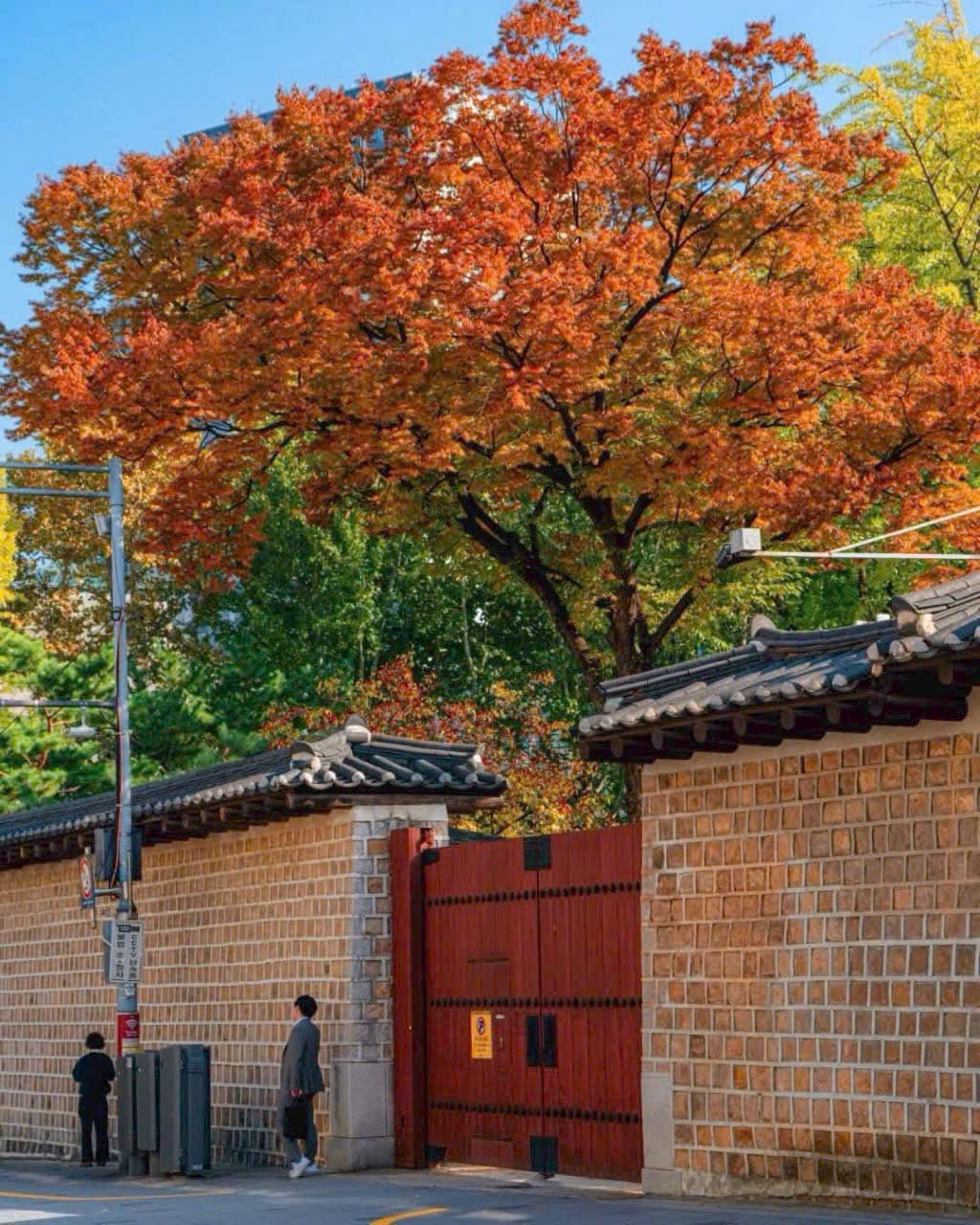 Du lịch Hàn Quốc