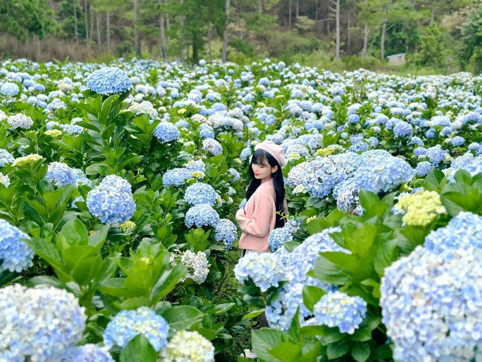 Thung lũng tình yêu Đà Lạt