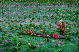 Tỉnh Đồng Tháp